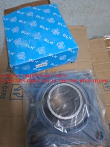 Gối đỡ công nghiệp GLH UCF212