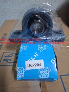 Gối đỡ công nghiệp GLH UCP204