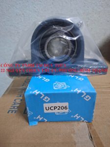 Gối đỡ công nghiệp GLH UCP206